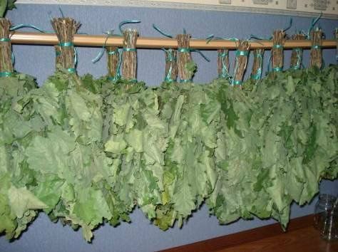 Веники для бани Абая Сайна