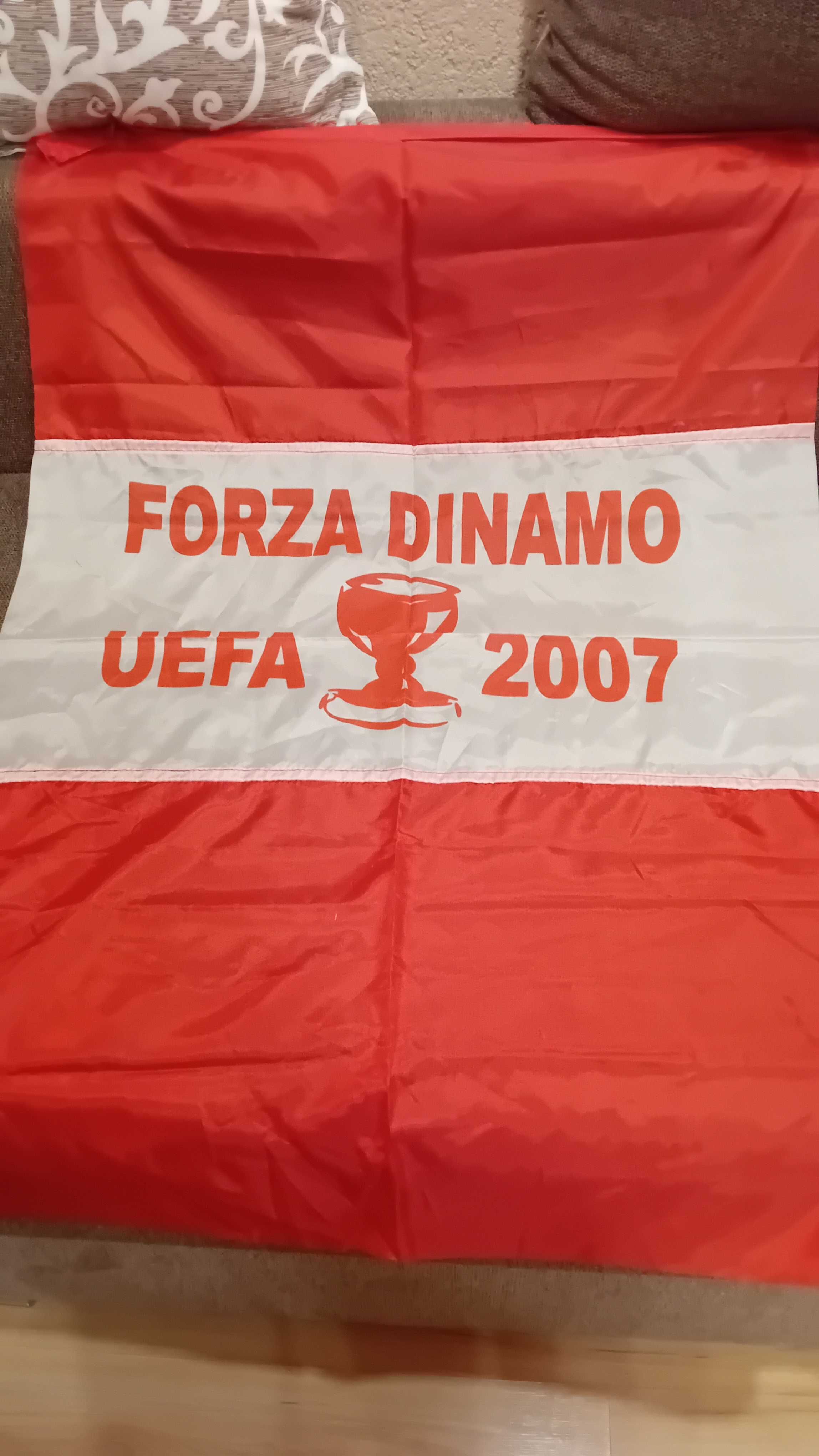 Steag Dinamo Bucuresti