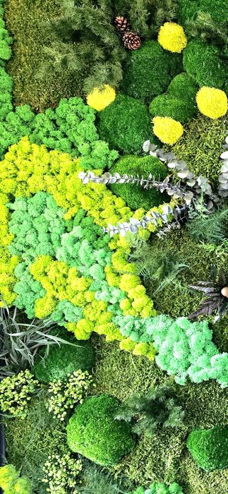 Panou plante stabilizate naturale