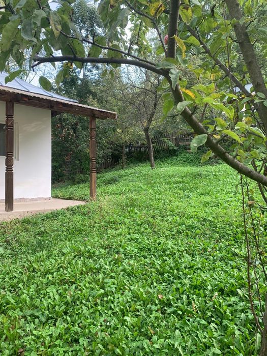 Vand teren 1560mp+casa batraneasca renovata in Bertea Slanic Prahova