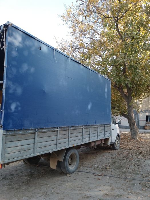 Газел сотилади .