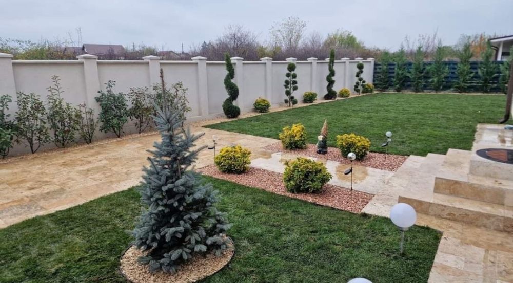 Plante ornamentale gazon rulou oriunde in tara la pret minim