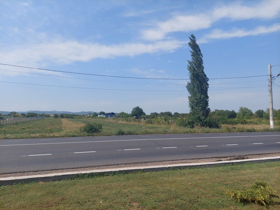 / DE VÂNZARE  / DE ÎNCHIRIAT  / Teren Intravilan  3707 Mp  / Oreavu  /