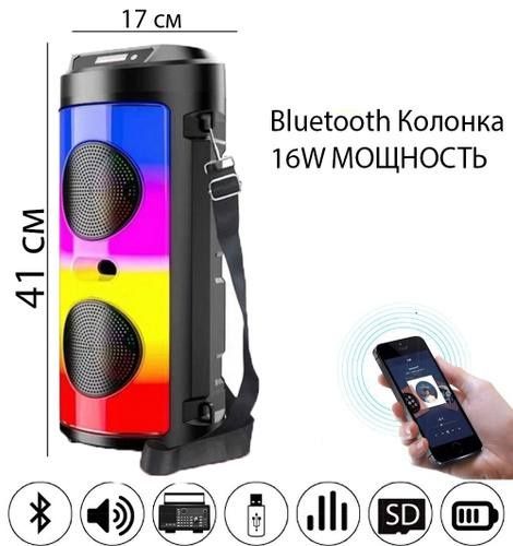 Колонка с микрофоном караоке