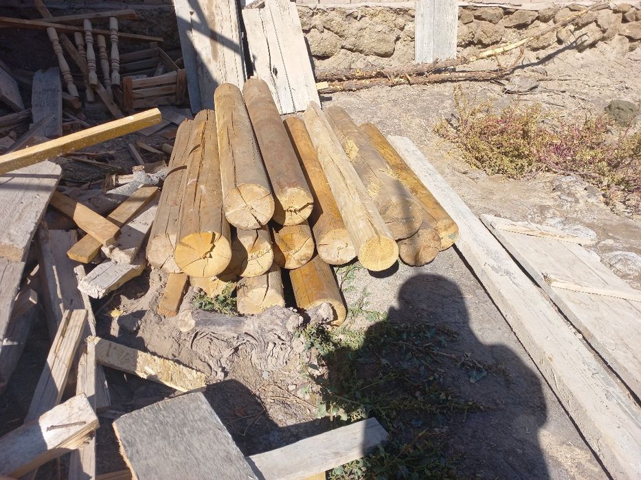 Қарағай кругляк 1,20 см