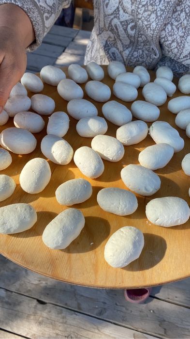 Творог домашний құрт жасауға