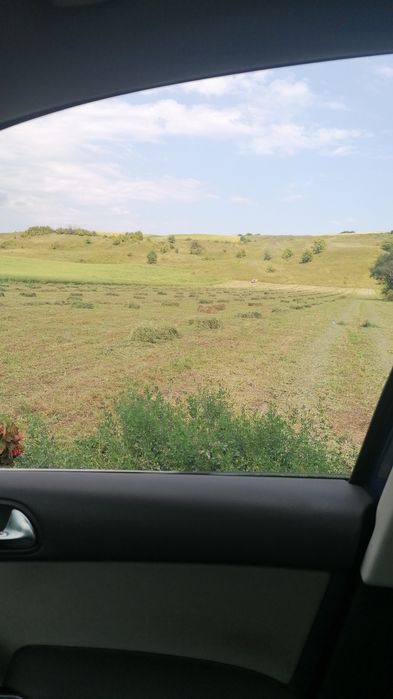 baloti , fîn 20. ron, , ghizdei 25  ron ofer transport