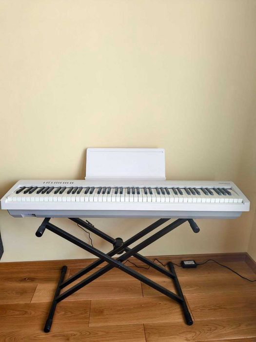 Roland FP-30X / Millenium KS-1010 / Roland DP-10