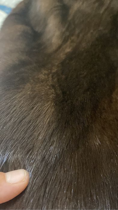 Продам  норковую шубу