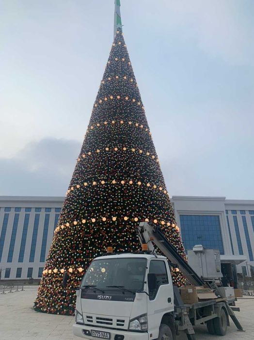 Новогодный ёлки болшие президентский! и Украшене! Елка, Katta Archa!