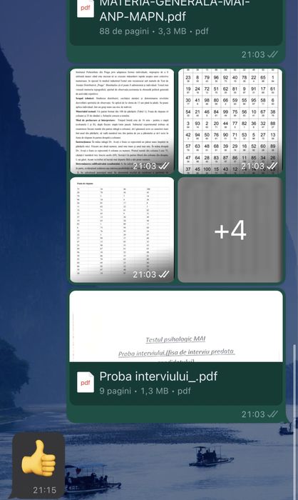 Teste psihologice MAI/MAPN/ANP/SGP