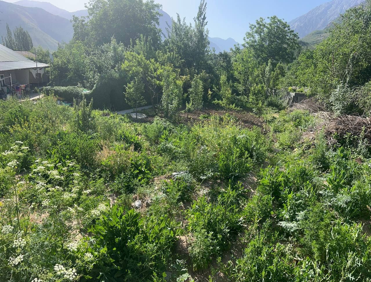 Hovli uy sotiladi