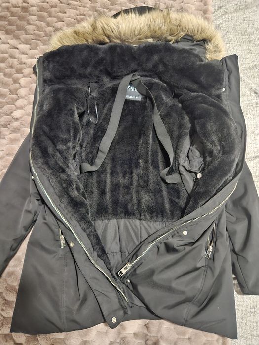 Vând greacă groasă Zara M