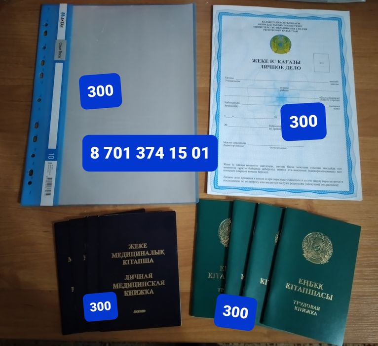 Трудовой,сан книжка,файл папка