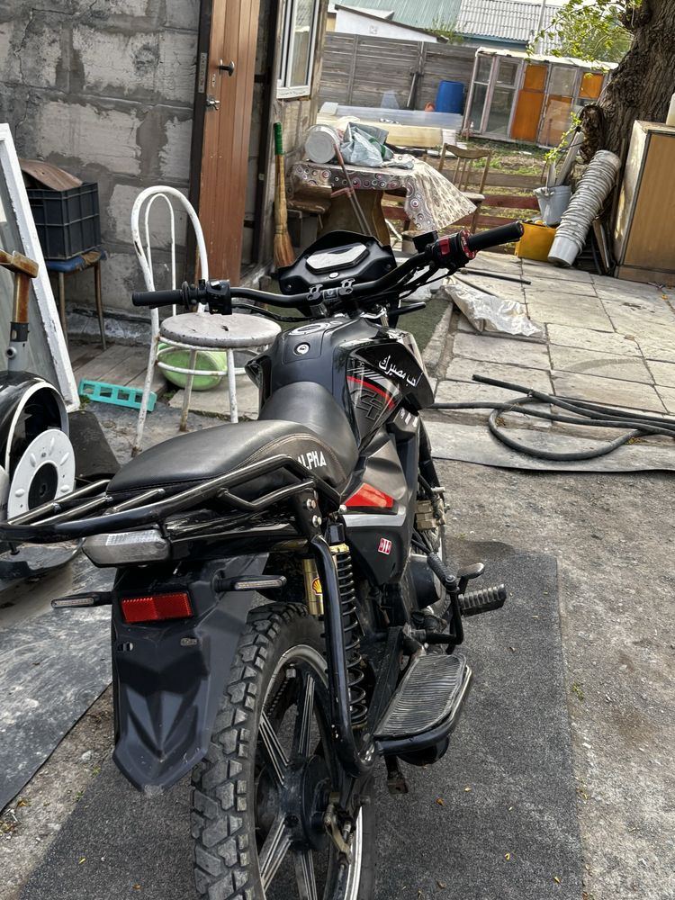 Alpha Champ rs12