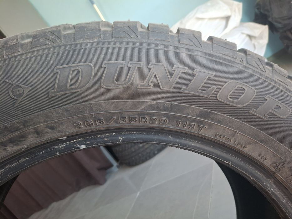Шины зимние Dunlop