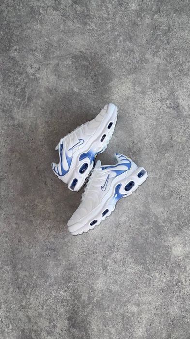 Nike Air Max Plus TN  'Ashen Slate”