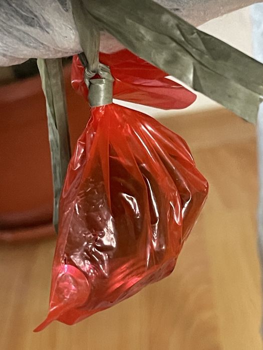 Scaune tapitate moderne noi 2 bucati