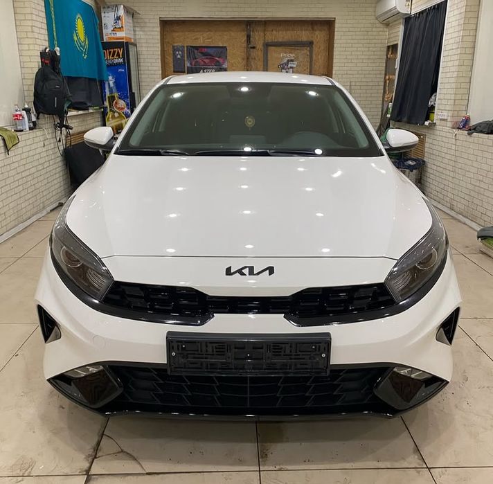 Тонировка защита саллоного пластика