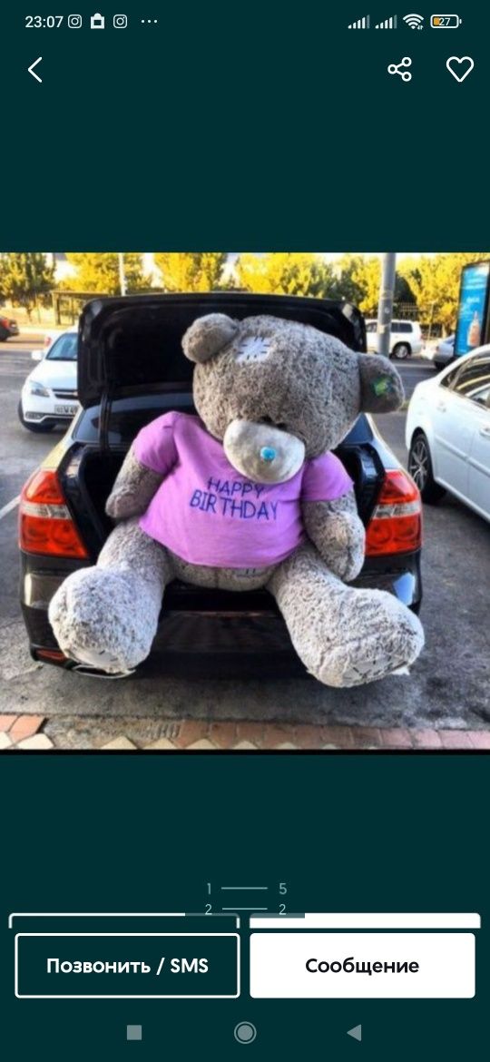 Ayiqchalar ayiq, Teddy Teddi