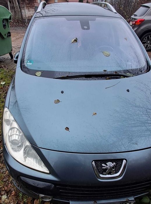 Peugeot 307, diesel 2005