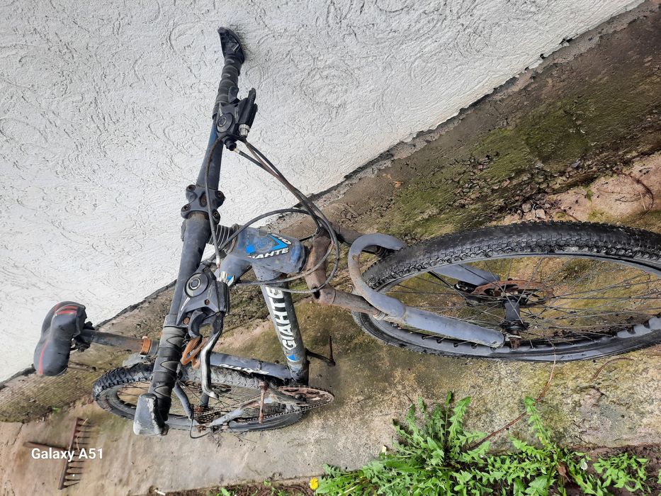 Жылдамдығы жоғары велик