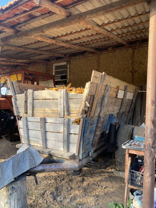 Vand porumb stiulete