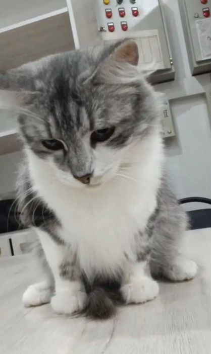 Удивительно добрая девочка ищет дом