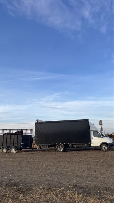 Скотовоз Газель