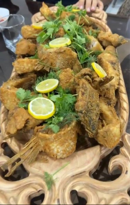 Tirik Baliq Xorazmdan Toshkentga