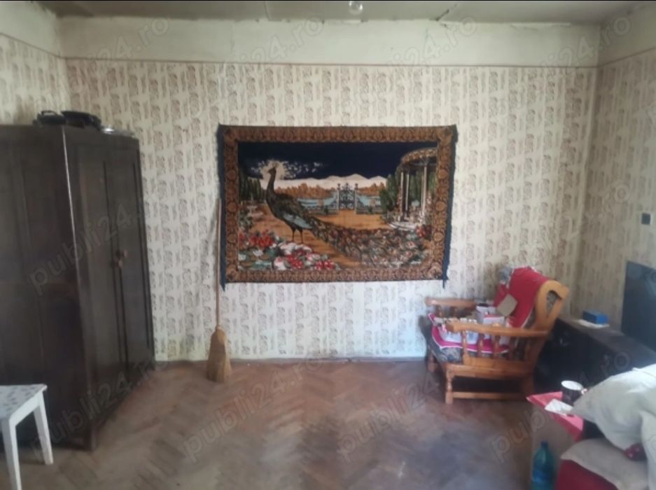 Casa/teren de vanzare viile satu mare