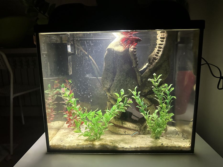 аквариум 35л  продаю