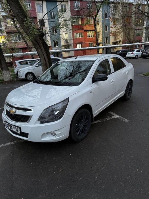 Cobalt 2025 midnight