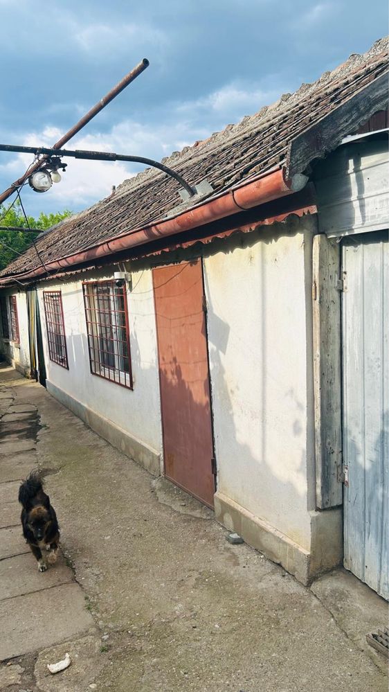 Casa de vanzare. Bailesti Dolj