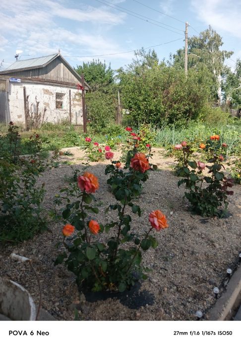 Продаётся дачный участок в «Цветущем саду»