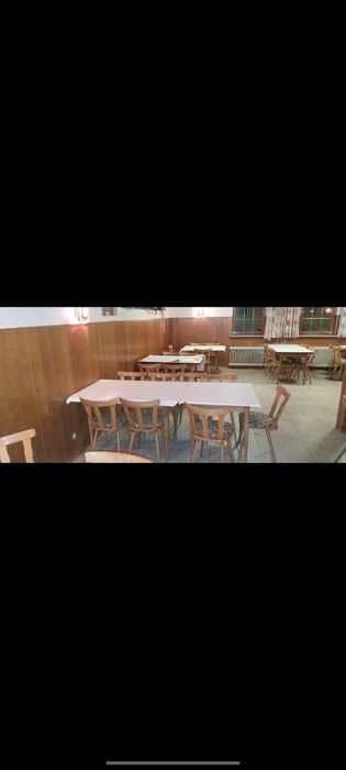 Oferta scaune lemn masiv