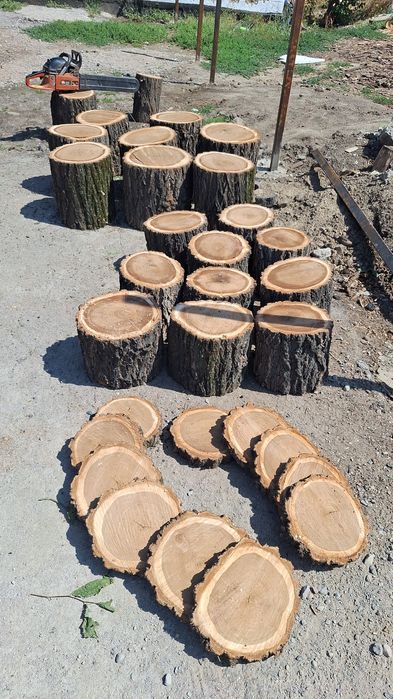 Продам пеньки карагача