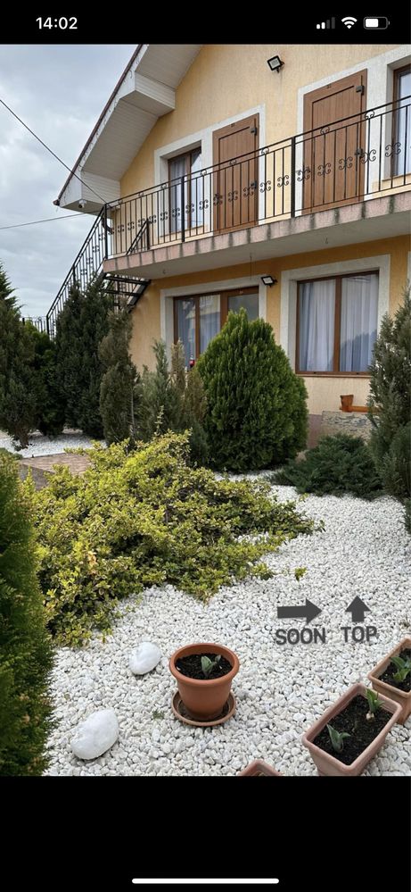 Piatra Ornamentala Decorativa Curte ,Gradina Alb Gri-Albastrui Negru