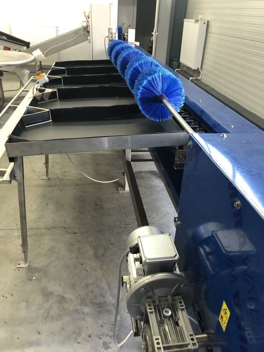 Banda de sortare, ambalare si etichetare fructe