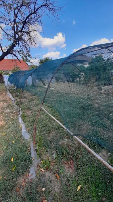 De vânzare casă, curte și grădină în ORĂȘTIE