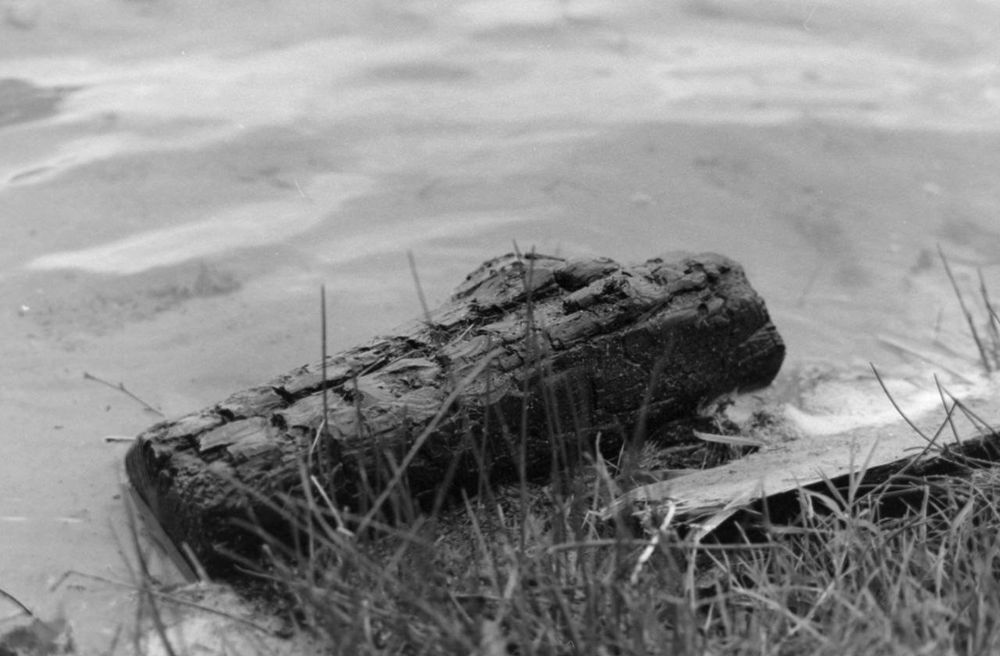 Kodak T-Max 100 - With Sample Pictures