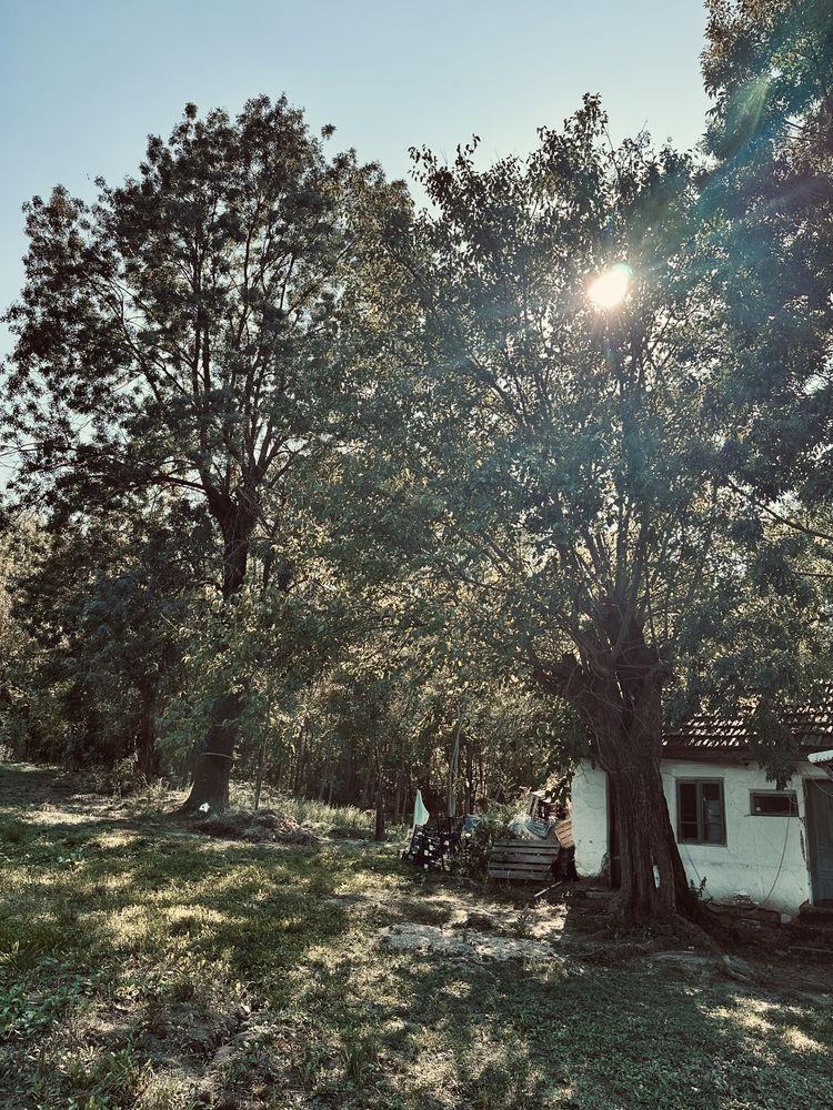 Teren de vanzare intravilan
