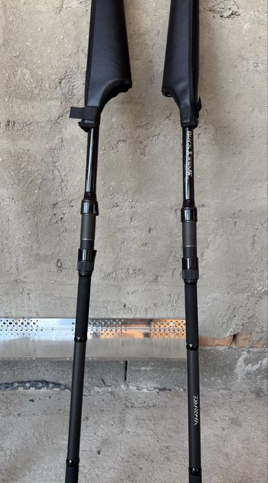 Lansete Daiwa 3,9 m 3,5lb