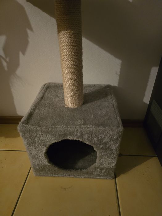 Ansamblu pisici (culcuș pisici)