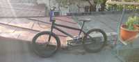 BMX Whethepeople Reason