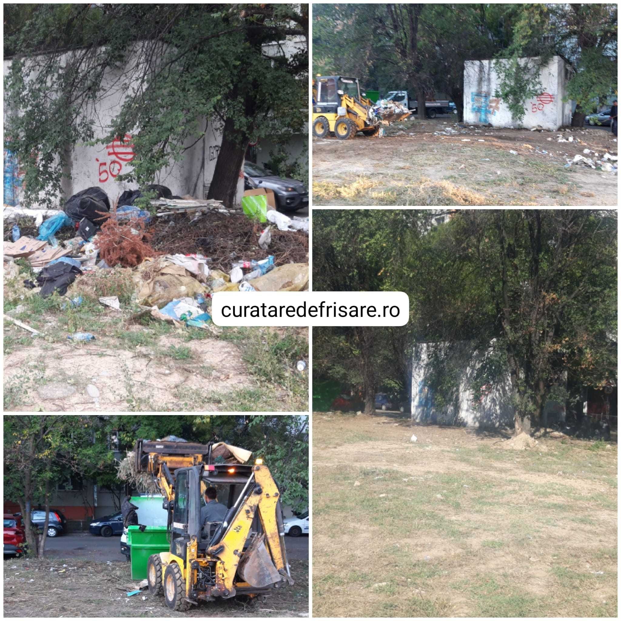 Curatare teren ambrozie, cosire, defrisare, tocare crengi si vegetatie