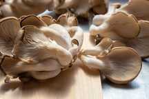 Vand ciuperci pleurotus