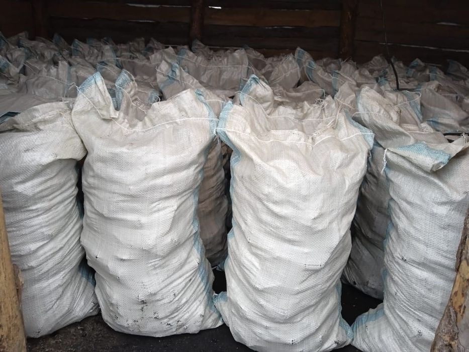 Шубарколь в мешках. 1600 тен