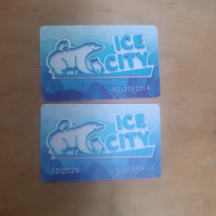 Ледовый каток Frozen Lake