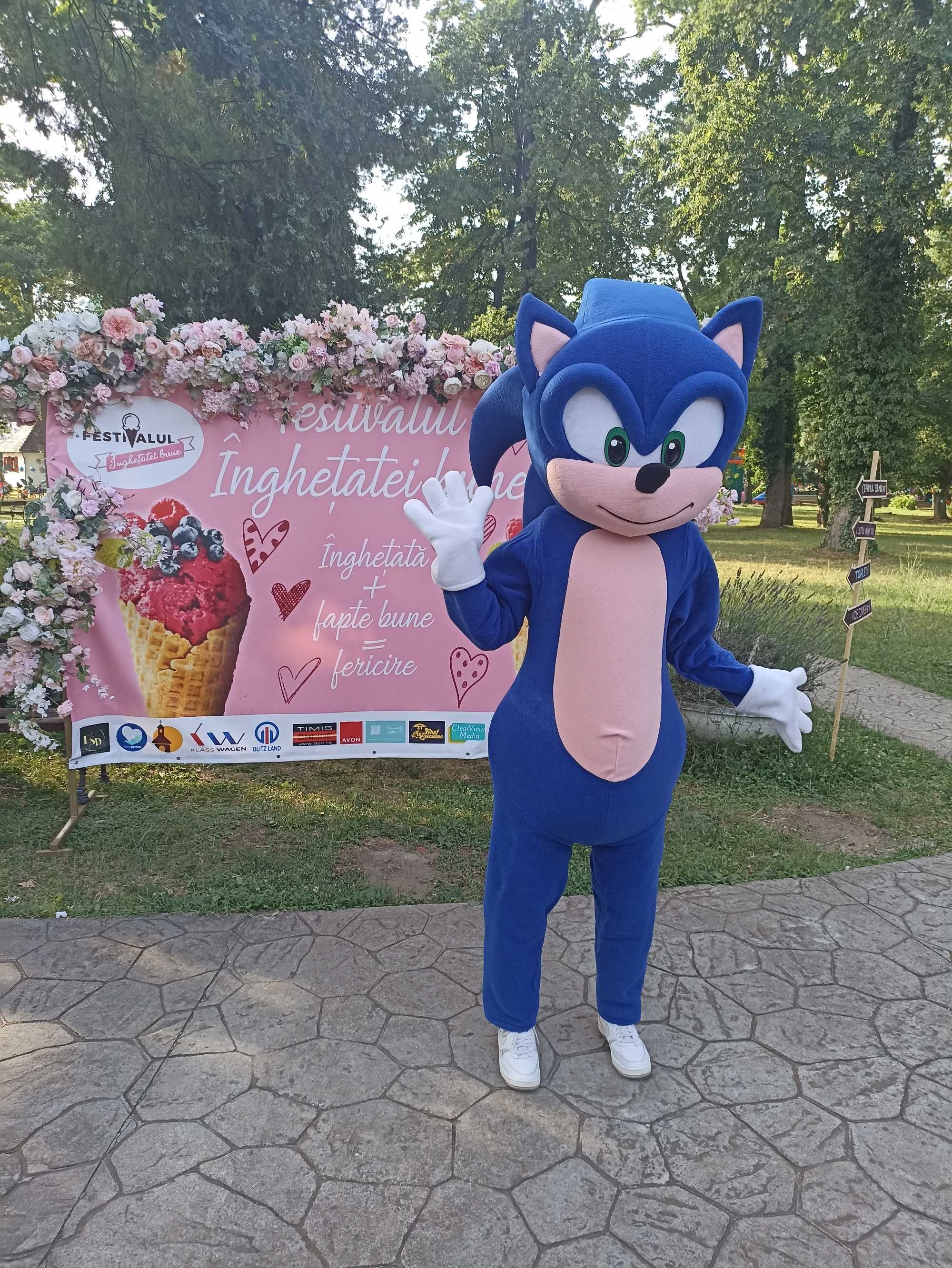Mascote și animatori pt petreceri copii